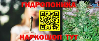 альфа пвп Заводоуковск