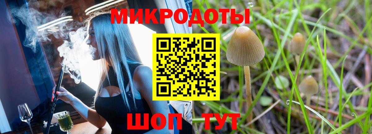 Псилоцибиновые грибы мухоморы  Псилоцибиновые грибы ЛСД  Вход с VPN  Армавир 
